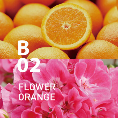 B02 Flower Orange
