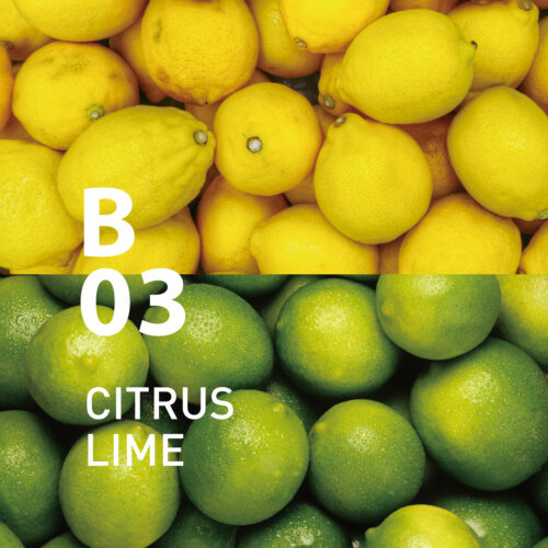 B03 Citrus Lime