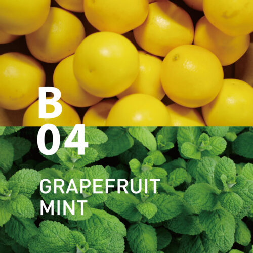 B04 Grapefruit Mint