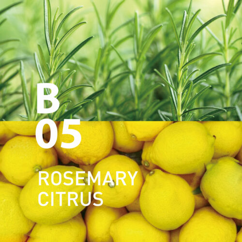 B05 Rosemary Citrus