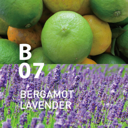 B07 Bergamot Lavender