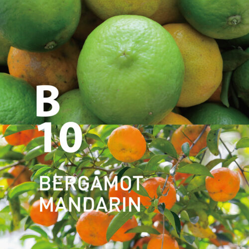 B10 Bergamot Mandarin