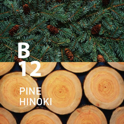 B12 Pine Hinoki