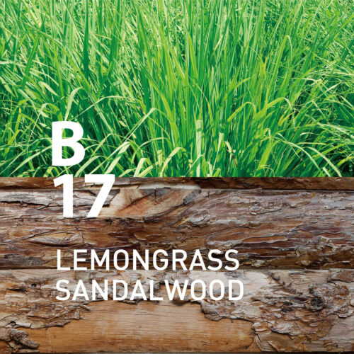B17 Lemongrass Sandalwood