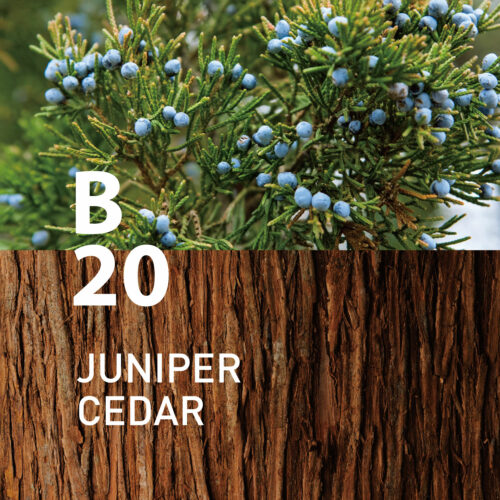 B20 Juniper Cedar