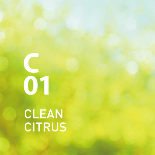 Raumspray C01 Clean Citrus