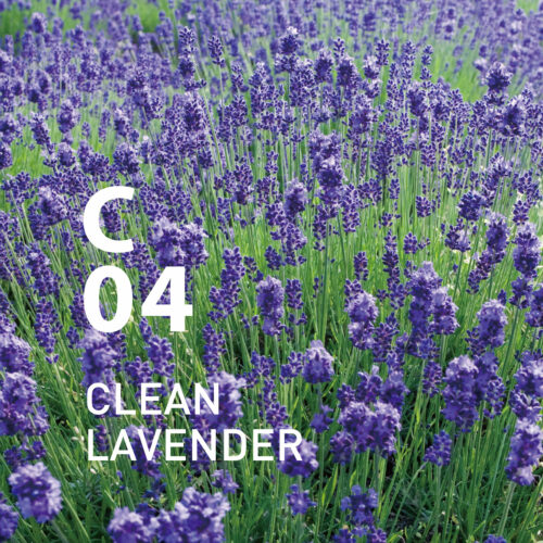 C04 Clean Lavender