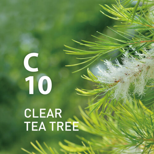 C10 Clear Tea Tree