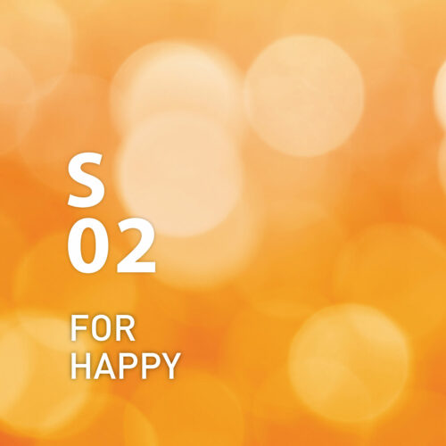 Raumspray S02 For Happy