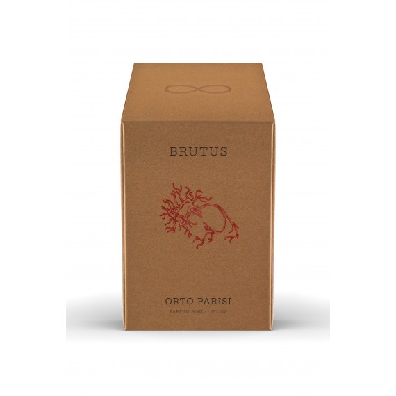 Brutus – Bild 3