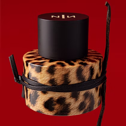 Felina – Bild 3