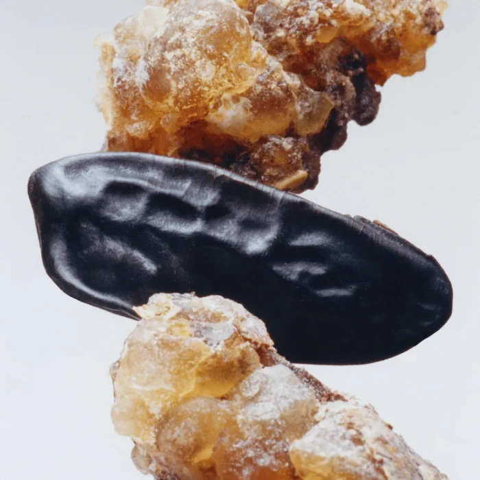Myrrh & Tonka Körper- und Handwaschgel – Bild 2