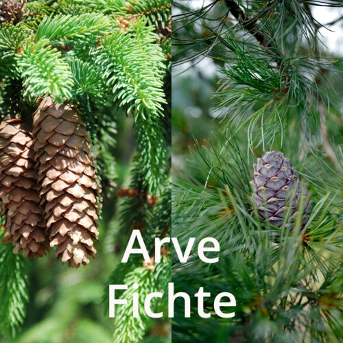 Arve - Room Fragrance